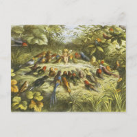 Richard Doyles repetition i Fairyland PostCard