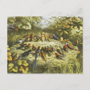 Richard Doyles repetition i Fairyland PostCard Vykort