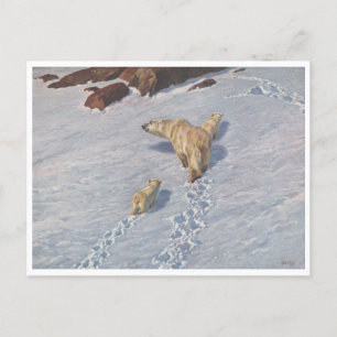 Richard Friese, vykort för Polar Bear Family