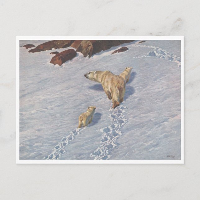 Richard Friese, vykort för Polar Bear Family (Framsida)