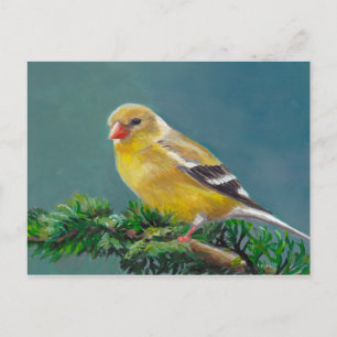 Richard Goldfinch Bird Art Postcard Vykort