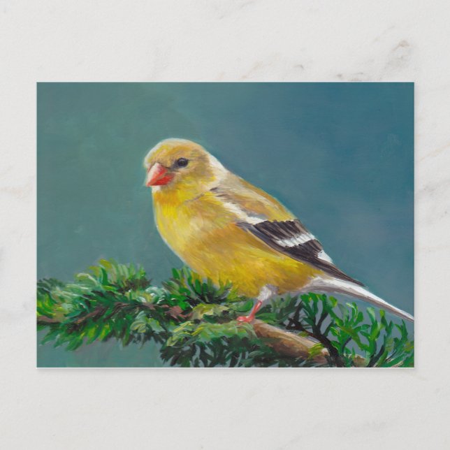 Richard Goldfinch Bird Art Postcard Vykort (Framsida)