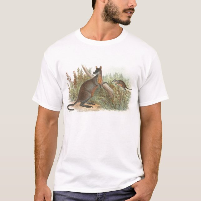 Richard Lydekker - Black-Tailaby T Shirt (Framsida)