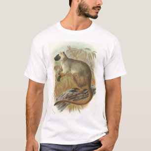 Richard Lydekker - Queensland Träd-Kangaroo Tee