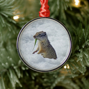 Richardson Ground Squirrel Julgransprydnad Metall