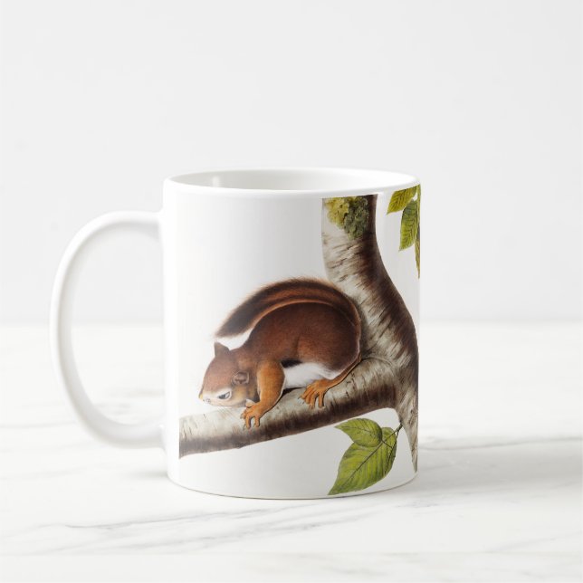 Richardsons colombianska ekorreillustration kaffemugg (Vänster)