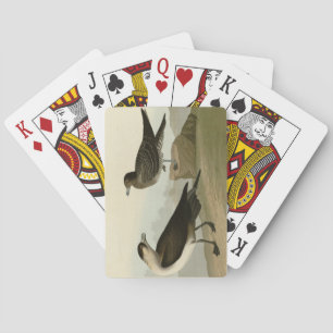 Richardsons Jager från Audubon Birds of America Casinokort