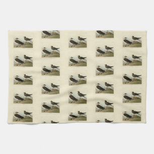 Richardsons Jager från Audubon Birds of America Kökshandduk