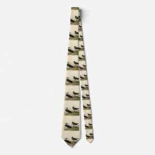 Richardsons Jager från Audubon Birds of America Slips