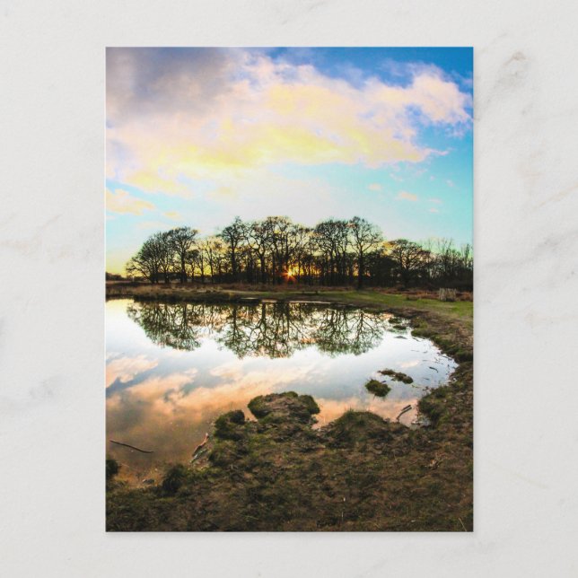 Richmond Park, London Vykort (Framsida)