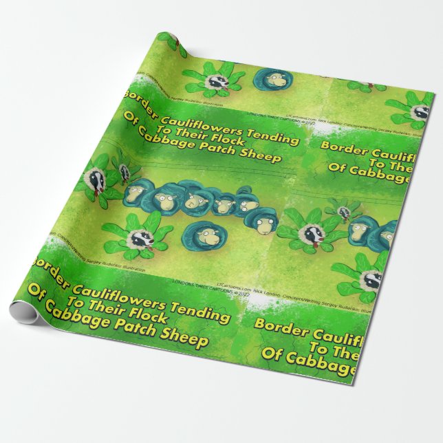 Rick London Rolig Border Collie Blomma Tecknad Ser Presentpapper (Utrullad)