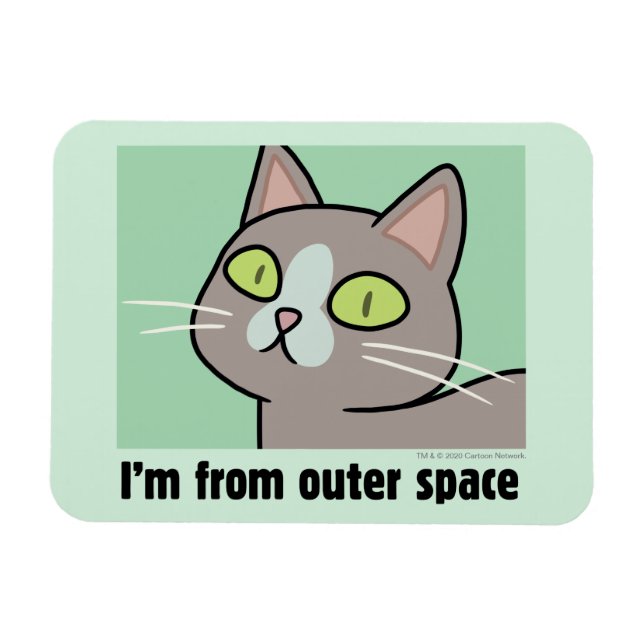 RICK OCH MORTY™ | Jag kommer från Rymden Magnet (Horisontell)