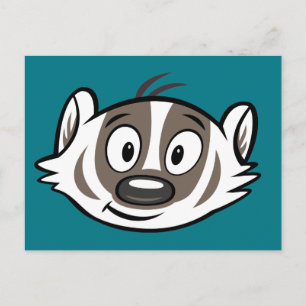 Ricky Raccoon Boomer Badger Ansikte Vykort