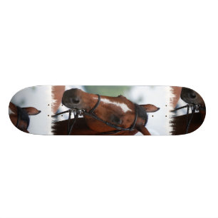 Rid- hästShowSkateboard Old School Skateboard Bräda 21,6 Cm