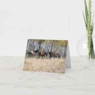 Rida i bergnotecardsna kort
