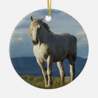 Riddare av drömmar julgransprydnad keramik