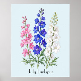 Riddarsporreblommor i juli poster