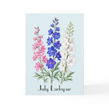 Riddarsporreblommor Julihälsning