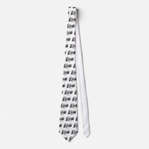 Ride through Central Park II Tie Slips