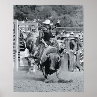 Rider hängande på en buggtjur poster