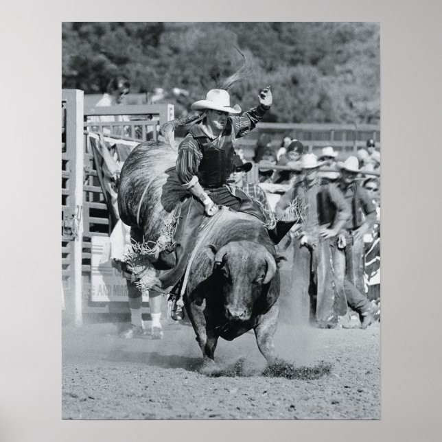 Rider hängande på en buggtjur poster (Framsidan)