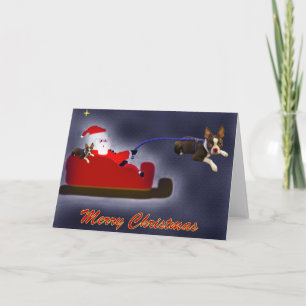 Rider the Red Nposed Boston Terrier Card Helgkort