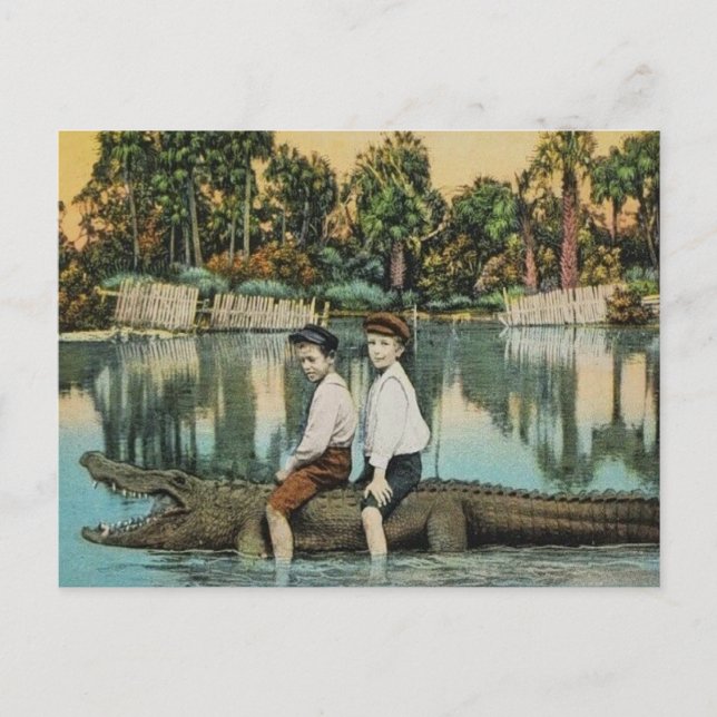 Ride'um Gator Funny Postcard Vykort (Framsida)