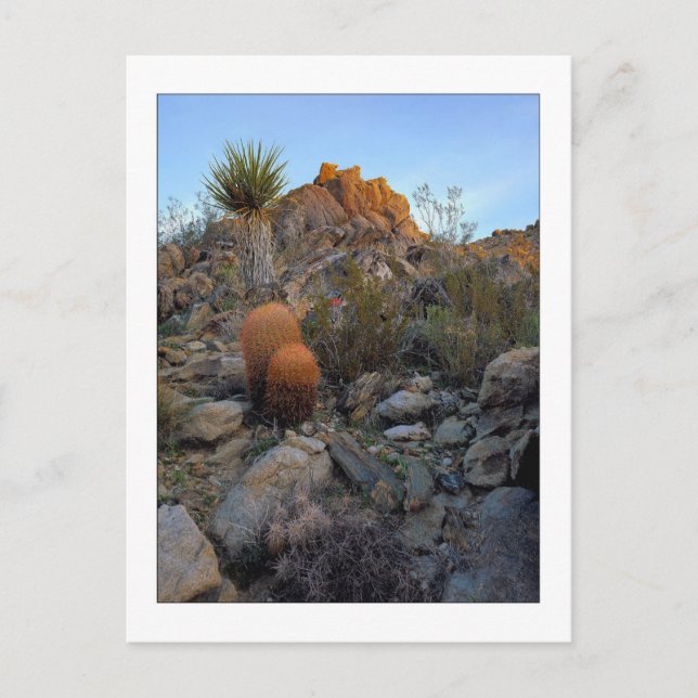 "Ridge ruttfärger ", Vykort (Framsida)