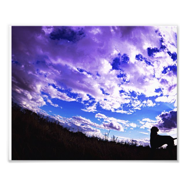 Ridgeback Silhouette. Fototryck (Framsidan)