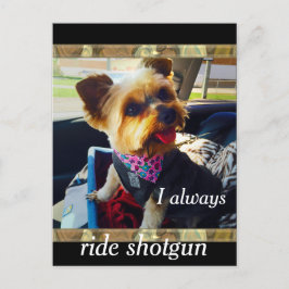 Riding Pistol Yorkie Personalize Vykort