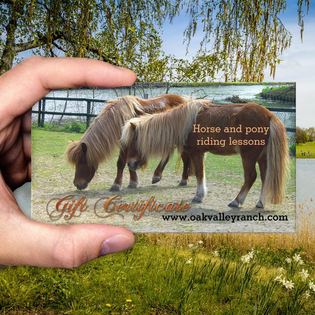 Ridlektioner Presentkortsmall Rabattkort (Gift certificate template for horse or pony riding lessons - equestrian - equine)