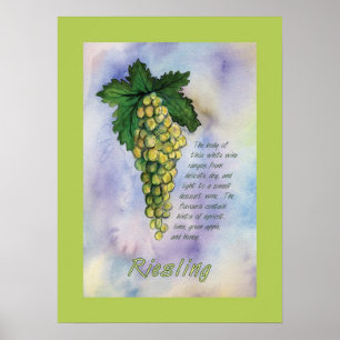 Riesling Vin-druvor Poster