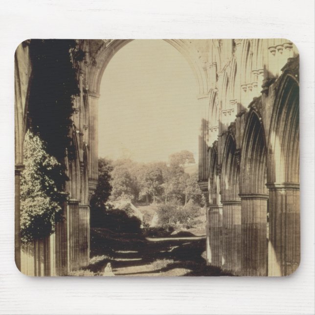 Rievaulx Abbey, norr Yorkshire, 1854 (sepiafotoet Musmatta (Framsidan)