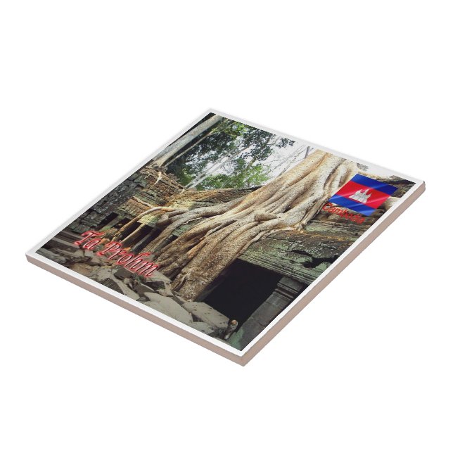 Rif. KH Kambodja, Ta Prohm Kakelplatta (Sidan)