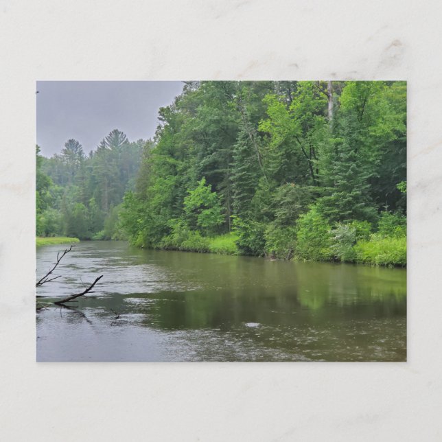 Rifle River, West Branch, Michigan Vykort (Framsida)