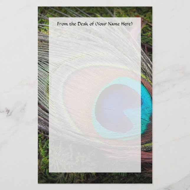 Rik den eleganta påfågelfjädern fotograferar brevpapper (Framsida)