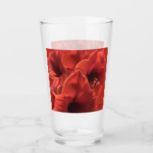 Rik Earthy Ruby Red Amaryllis Photo