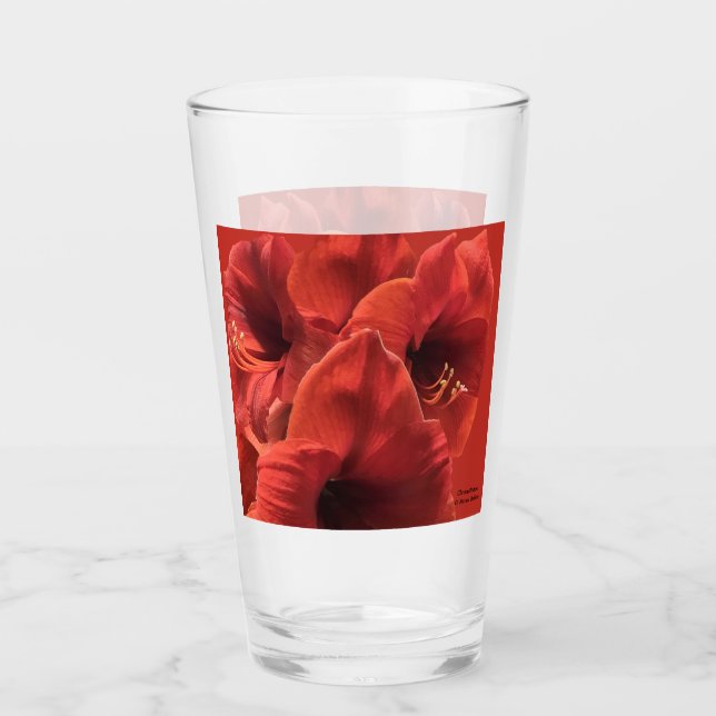 Rik Earthy Ruby Red Amaryllis Photo Glaskopp (Framsida)