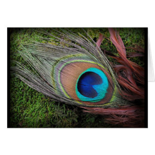 Rik, Elegant Peacock Feather-foto Hälsningskort