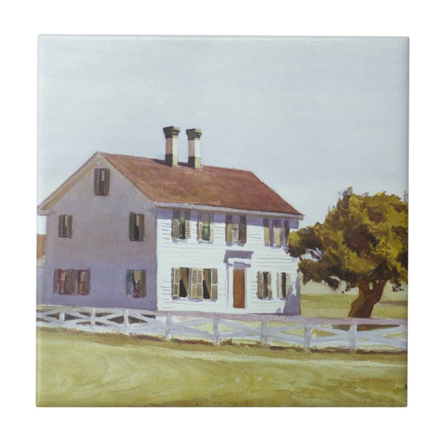 Rik hus kakelplatta (Framsidan)