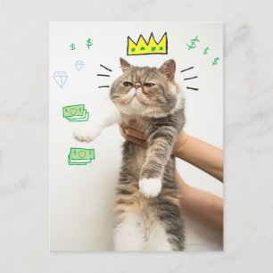 Rik Kung Cat Vykort