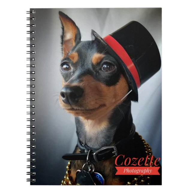 Rik-MIn-stift Anteckningsbok (Framsidan)