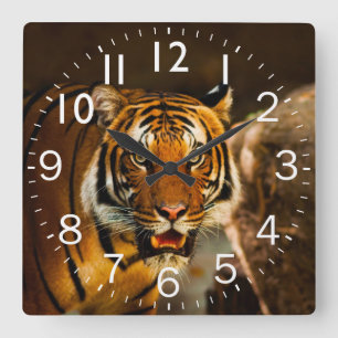 Rik Vibrant Tiger Fyrkantig Klocka