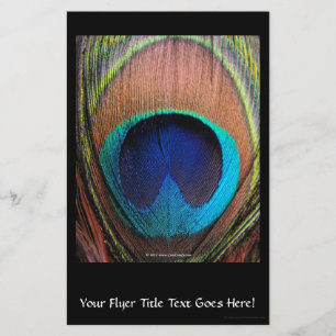 Riken Makro Peacock Feather blåser fotografier Flygblad