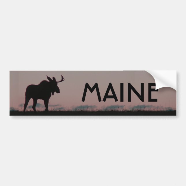 riklig älgsilouette, MAINE Bildekal (Framsidan)