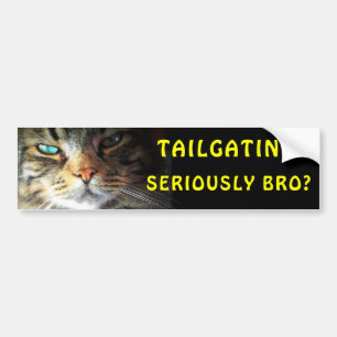 Riklig katt: Tailgating? Allvarligt Bro? Meme Bildekal