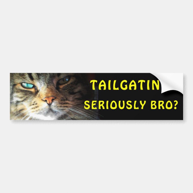 Riklig katt: Tailgating? Allvarligt Bro? Meme Bildekal (Framsidan)