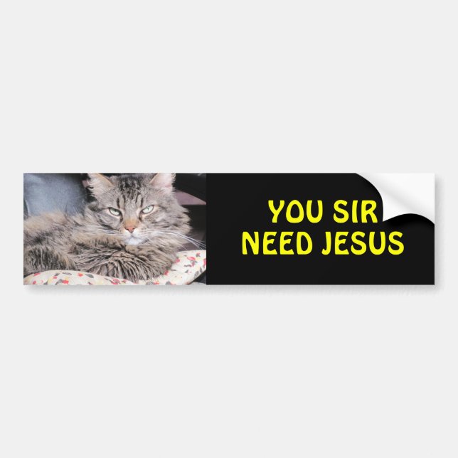 Rikliga kattnågot att säga, dig herrbehov Jesus Bildekal (Framsidan)