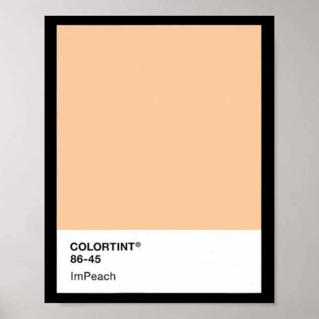 Riksrätt mot Trump 45 - Färgpalett  Poster (Framsidan)