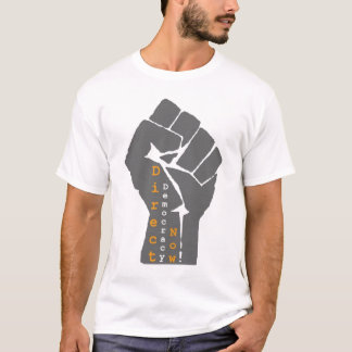 Rikta demokrati nu t-shirt